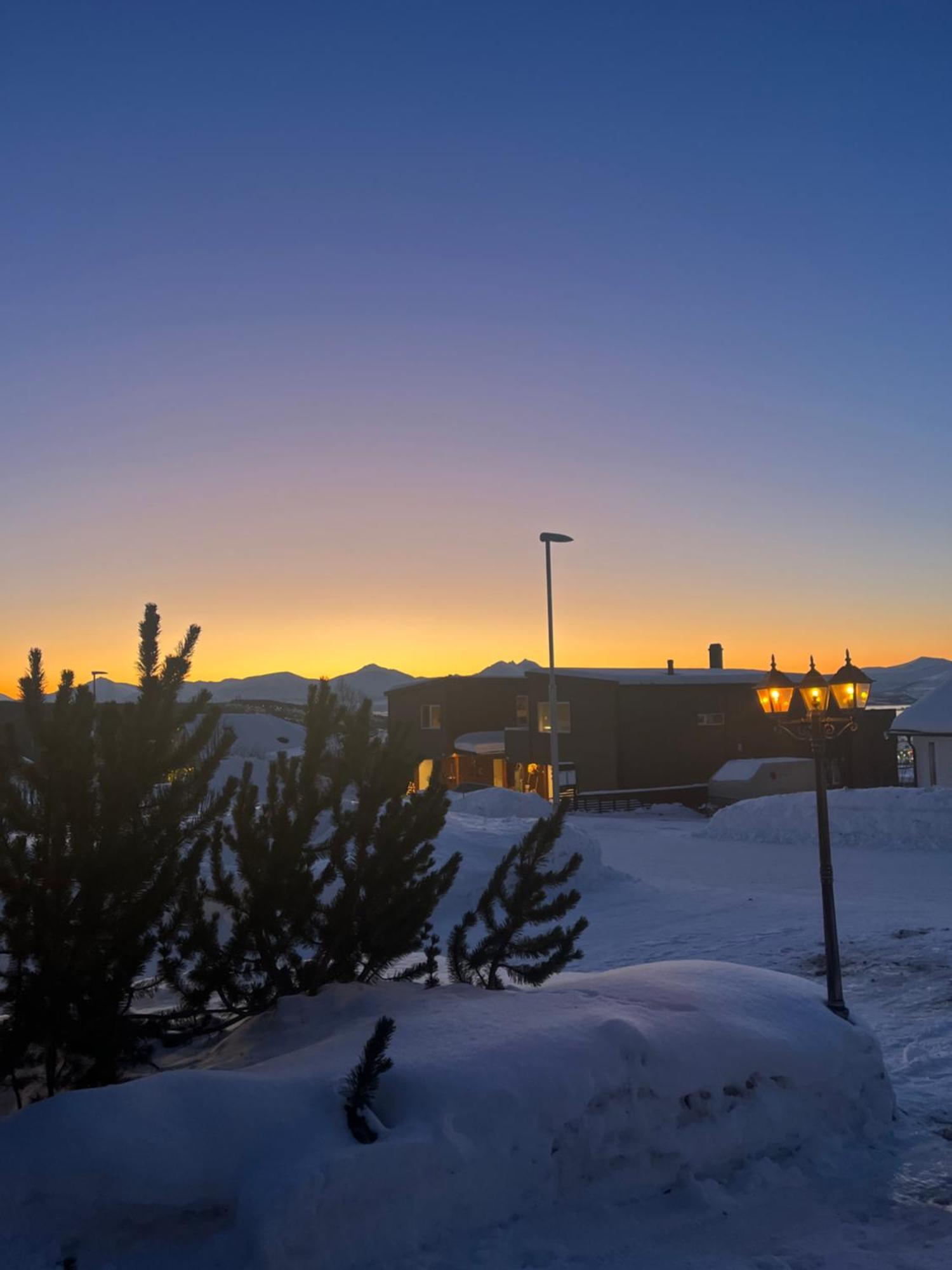 Lykkebo Daire Tromsø Dış mekan fotoğraf