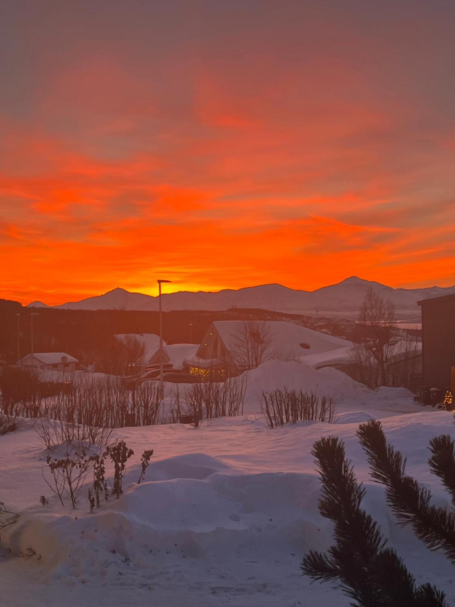 Lykkebo Daire Tromsø Dış mekan fotoğraf