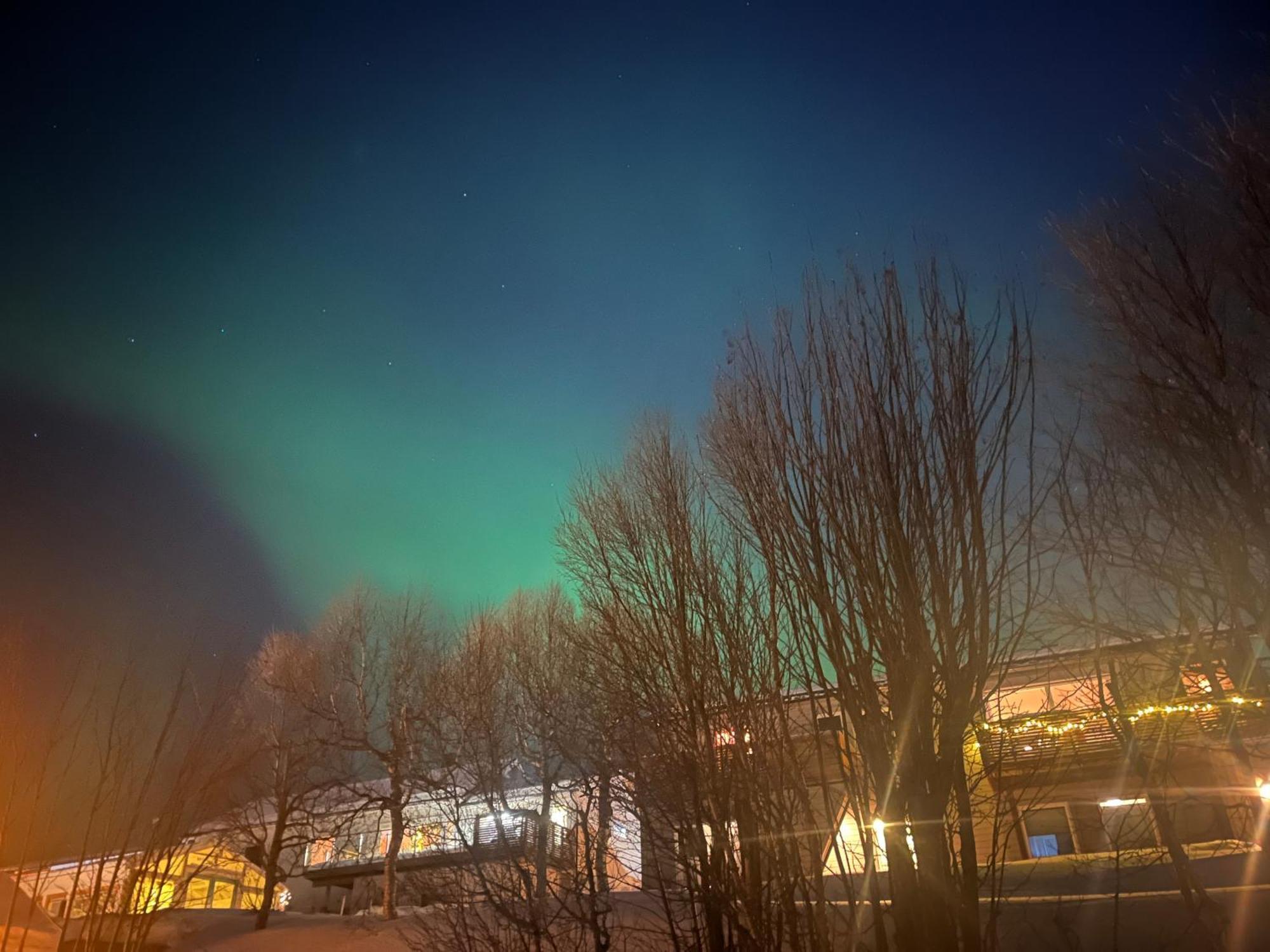 Lykkebo Daire Tromsø Dış mekan fotoğraf